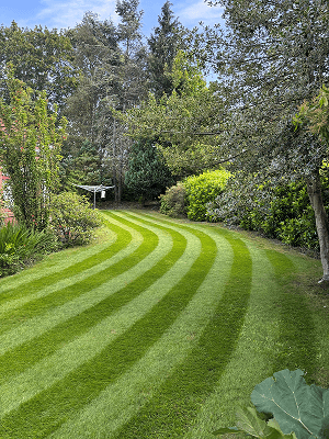 A big long image of a beautiful garden that is so long it goes round a corner, been cut really well with stripes