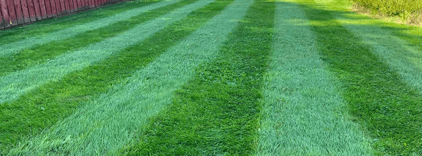 Hero image description for the about us page a zoomed in perfectly striped cut of lawn