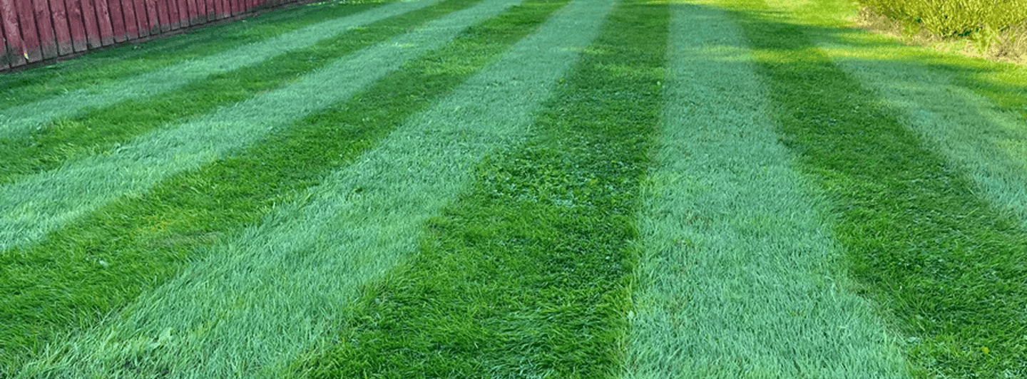 Hero image description for the about us page a zoomed in perfectly striped cut of lawn