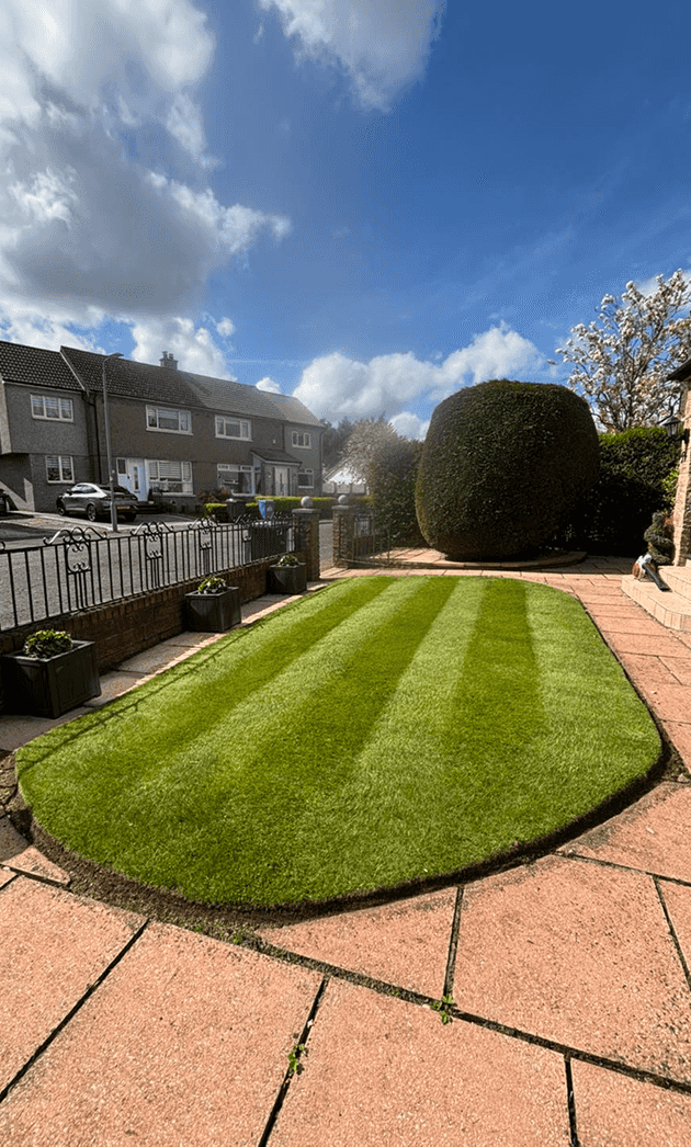 A small front oval shaped beautifully cut stripped garden on a beautiful summers day