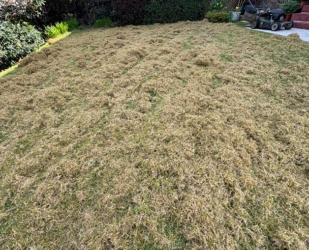 Back Garden with children's shoots and playthings.  The grass has punctured holes in it, this is the aeration process