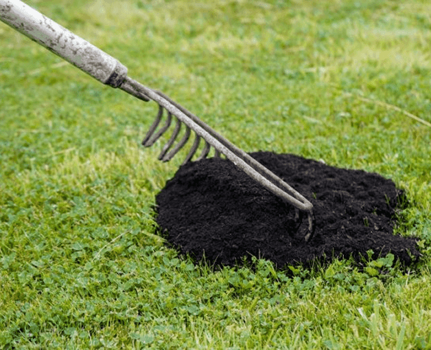 This is where new dark soil gets put back in to the tired lawn to induce fresh new growth