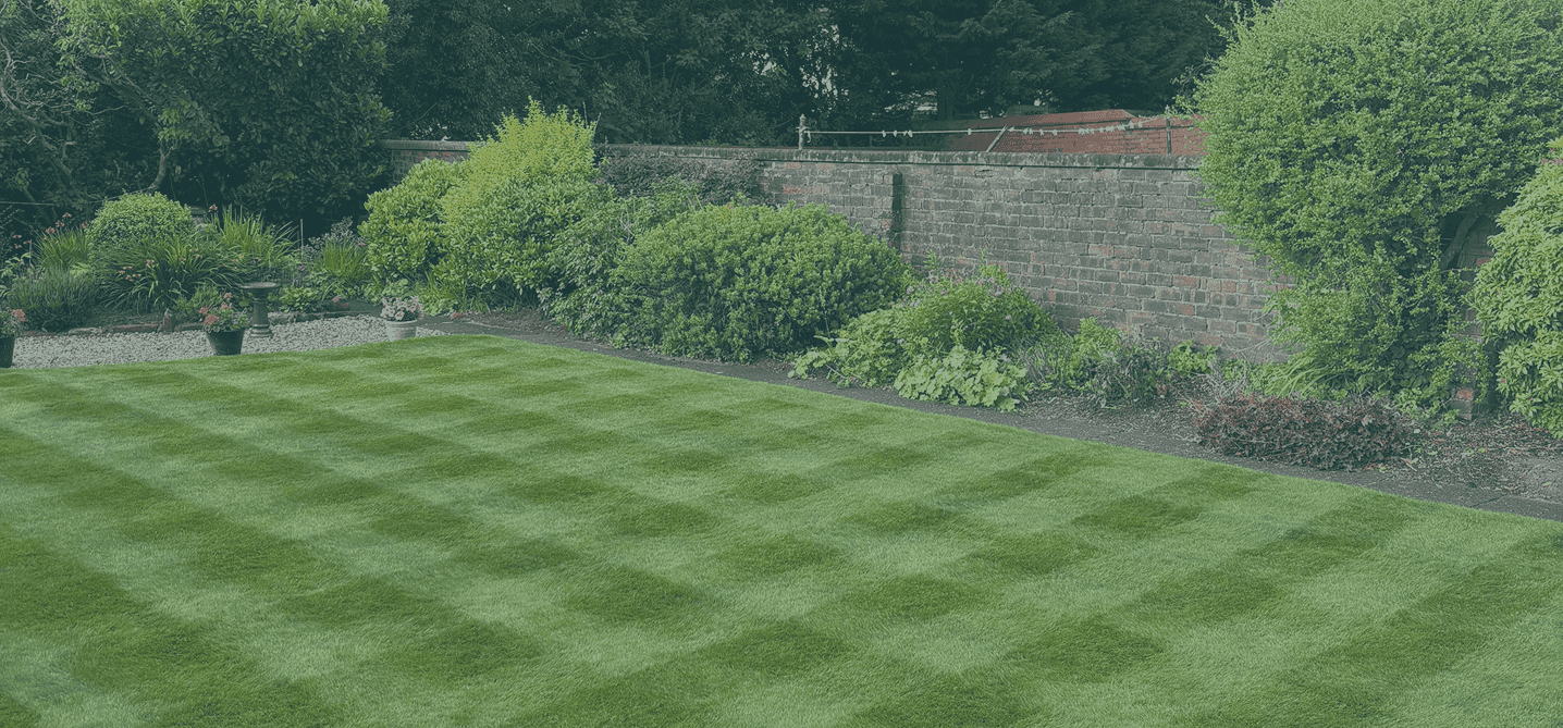 Beautiful back gard that has been expertly cut into a square pattern