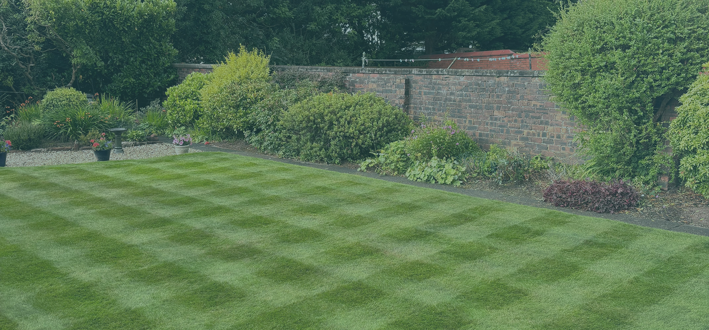 Beautiful back gard that has been expertly cut into a square pattern