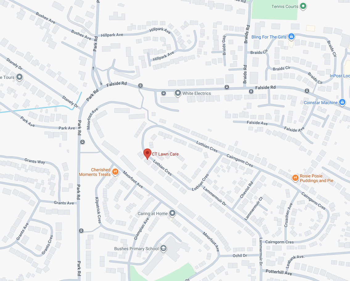 A map of a random place as a placholder until, the map api comes in