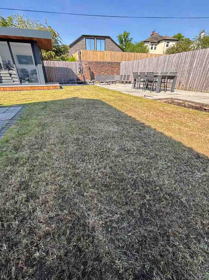 A lawn in desperate need of attention and care, looks old and shabby