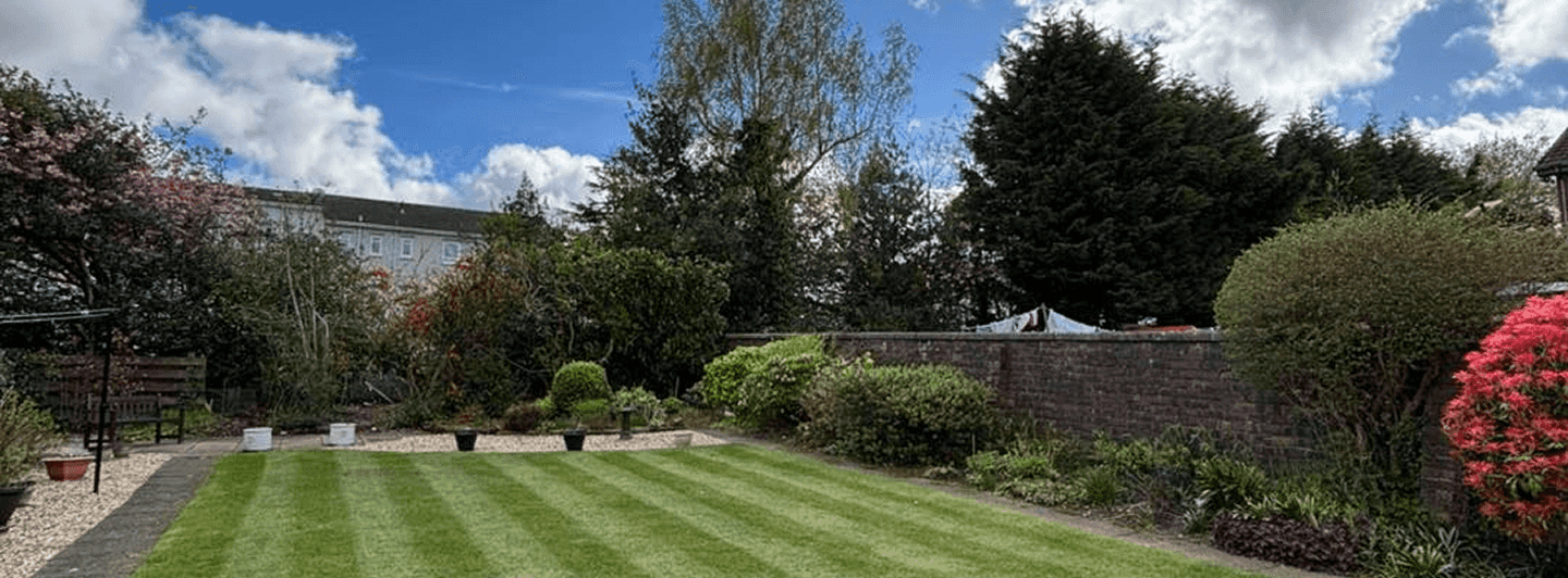 A beautiful perfectly cut striped lawn with beautiful trees of different colours and a rockery