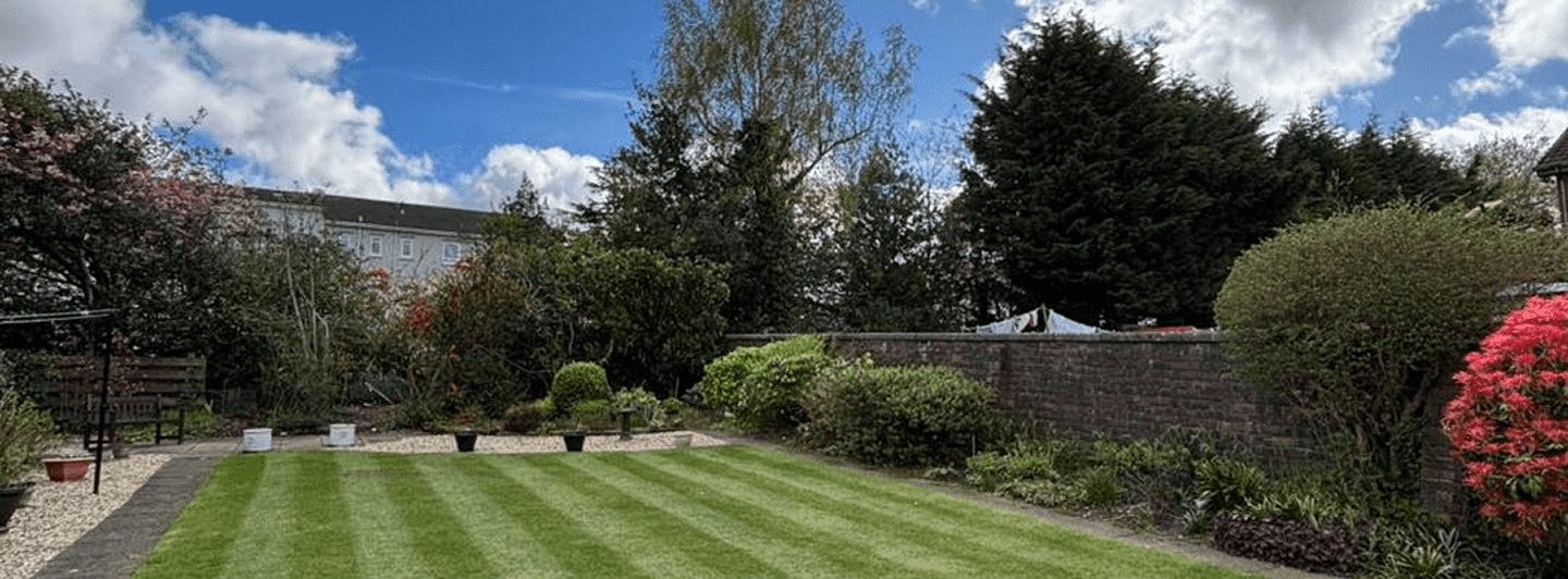 A beautiful perfectly cut striped lawn with beautiful trees of different colours and a rockery