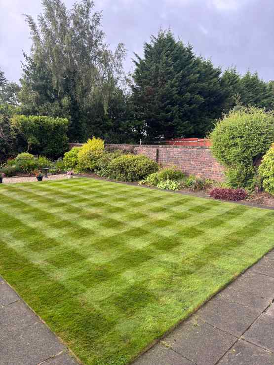 Beautiful back garden that has been expertly cut into a square pattern like a chess board
