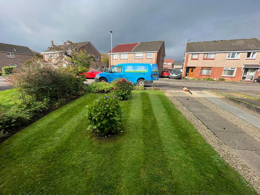 A smaller front garden for a semi detached with rose bushes in the middle, CT Lawn Care Van is outside on the road